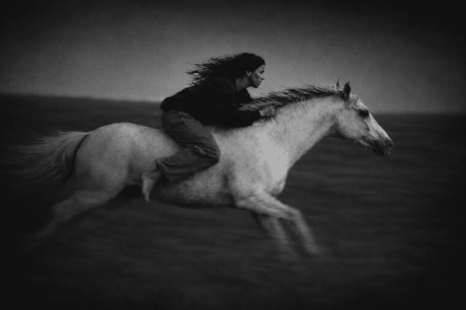 Notte Galop Speed